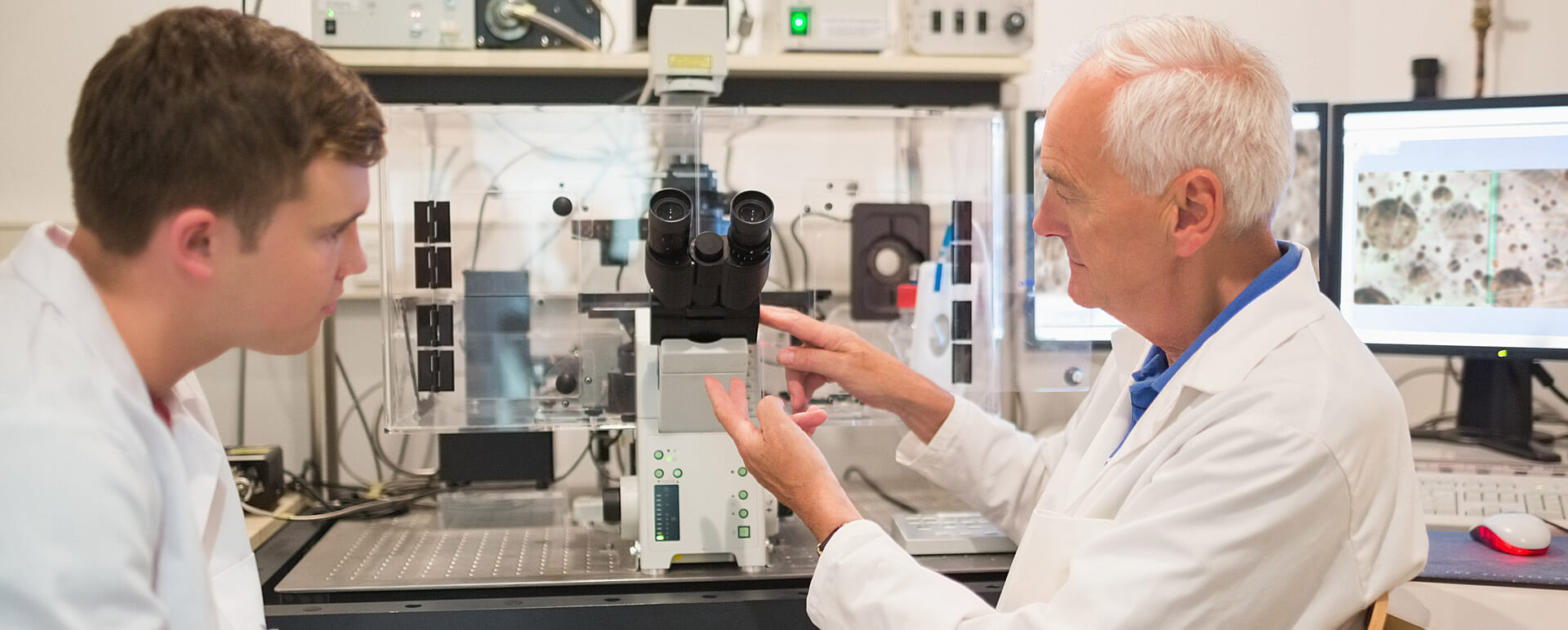 Long-term Growth Partner